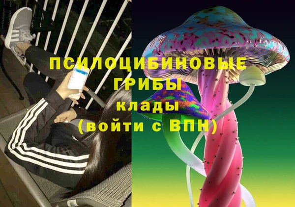 прущий лед Карпинск