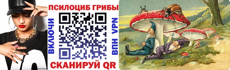 Купить закладки  Новая Ладога  Галлюциногенные грибы Psilocybine cubensis 